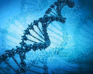 亲子鉴定DNA去哪里验？看这里！