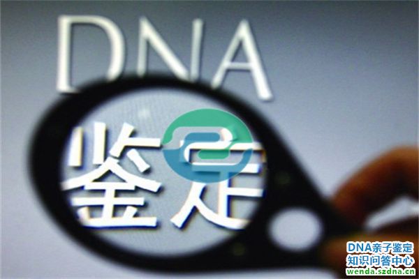 1757987455312353.jpg 13.jpg