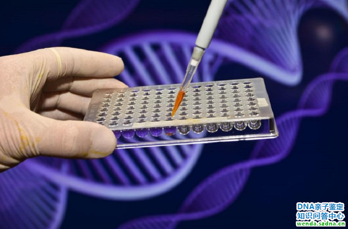 1764294806559265.png 1.png