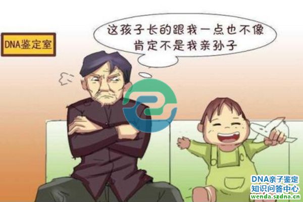 1765244776927905.jpg 81.jpg