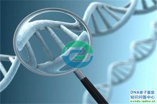 1765504481486601.jpg 105.jpg