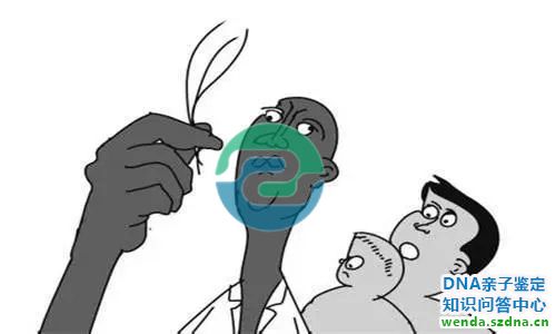 1766022384132915.jpg 319.jpg