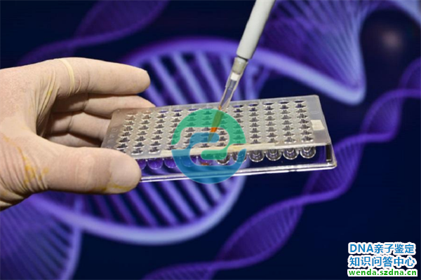 1767751834560354.png 336.png