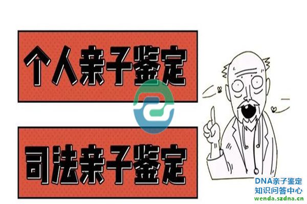 1769133753115089.jpg 10.jpg