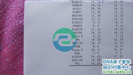 1775008194992099.jpg 295.jpg