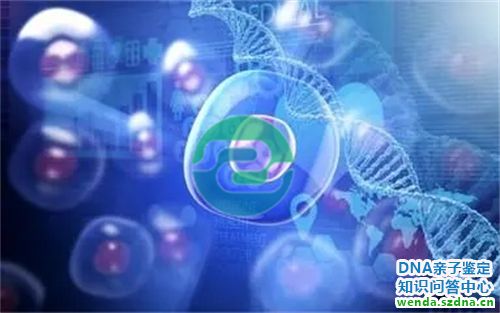 1775527420802489.jpg 271.jpg