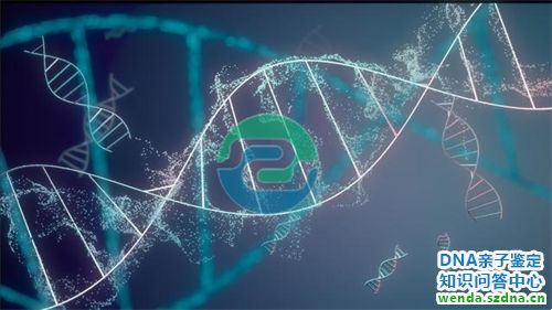 1775613137237068.jpg 273.jpg