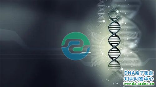 1775699507450668.jpg 274.jpg