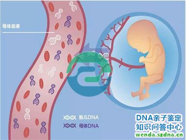 1775785767162259.jpg 277.jpg